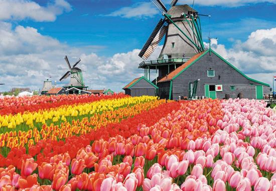 Květinový park Keukenhof s návštěvou Amsterdamu