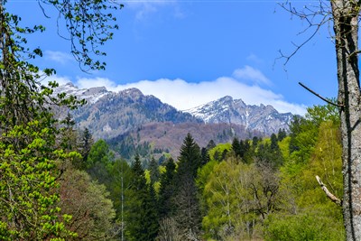 Tajemná Transylvánie po stopách hraběte Drákuly