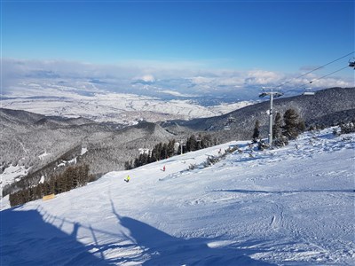 Belvedere Holiday Club