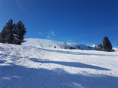 Belvedere Holiday Club