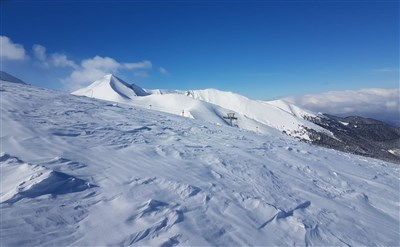 Belvedere Holiday Club