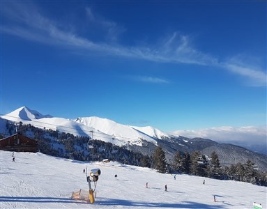 Belvedere Holiday Club