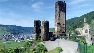 Vinicemi Mosely – Nejkrásnější evropské vinice