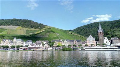 Vinicemi Mosely – Nejkrásnější evropské vinice