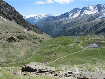 Trentino - Val di Sole