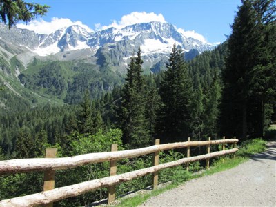 Trentino - Val di Sole