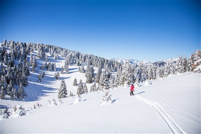 Folgaria/Lavarone - Hotel Al Lago