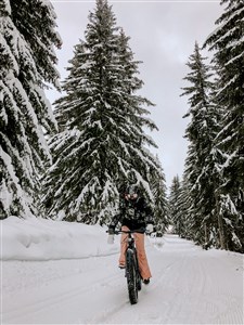 Avoriaz/Les Portes du Soleil – Le Téléphérique