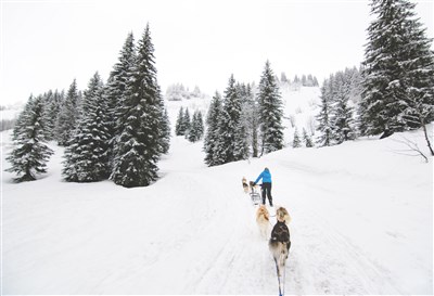 Avoriaz/Les Portes du Soleil – Le Téléphérique