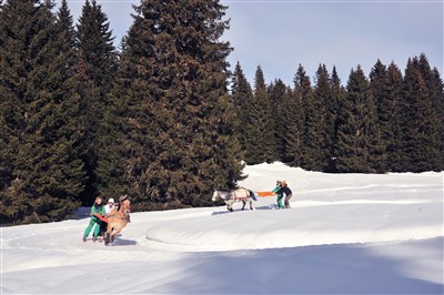 Avoriaz/Les Portes du Soleil – Le Téléphérique