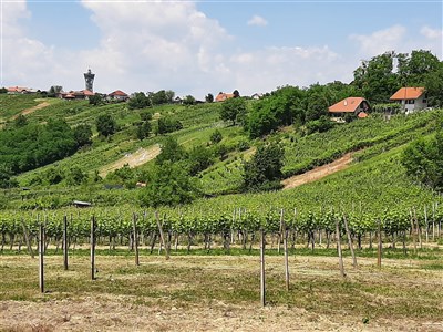 Julské Alpy a SlovinskJulské Alpy a Jadrano