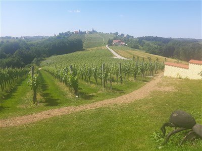 Julské Alpy a SlovinskJulské Alpy a Jadrano