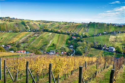 Julské Alpy a SlovinskJulské Alpy a Jadrano