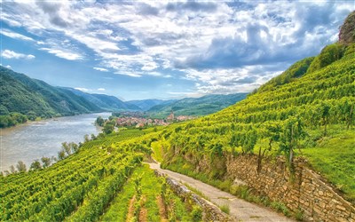 Dunajská cyklostezka