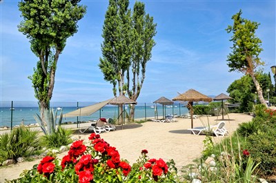 Camping Cisano & San Vito