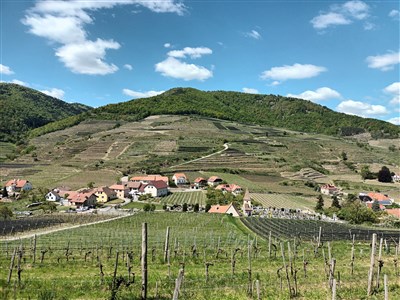 Údolí Wachau z Kremsu do Melku