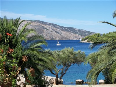 Trim Sunny Apartmens