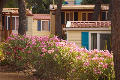 Camping Village Poljana