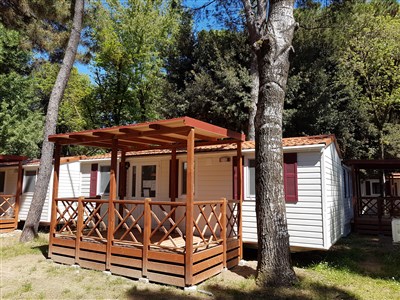 Mare e Pineta International Camping