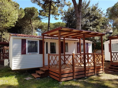 Mare e Pineta International Camping