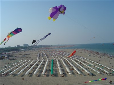 Mare e Pineta International Camping