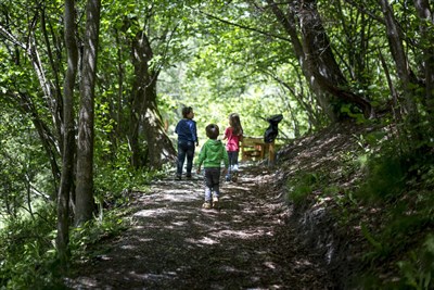 Camping Bella Austria