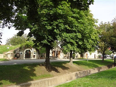 Neziderské jezero, perla Burgenlandu