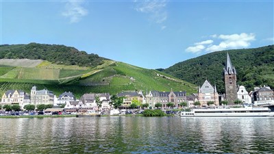 Vinicemi Mosely – Nejkrásnější evropské vinice