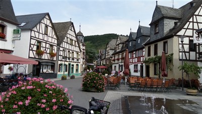 Vinicemi Mosely – Nejkrásnější evropské vinice