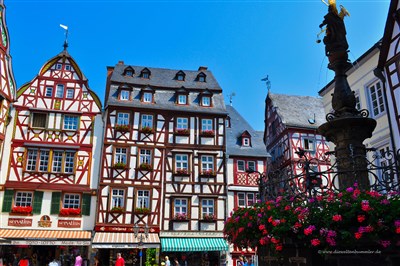 Vinicemi Mosely – Nejkrásnější evropské vinice