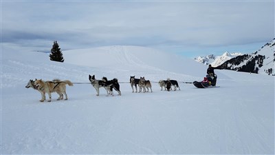 La Plagne – Paradiski – Bellecôte
